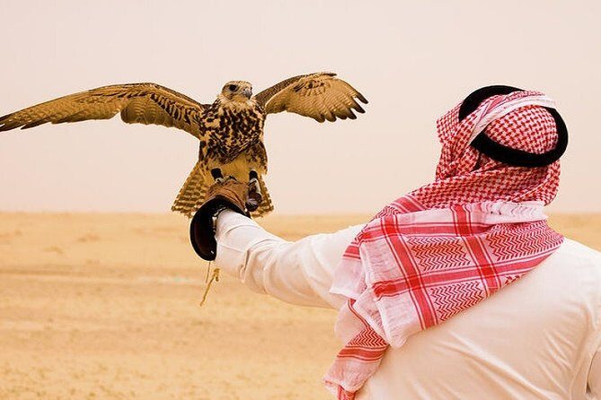Combo Tours: Half-Day Dubai City Tour With Evening Red Dunes Desert Safari - The Experience: What You’ll See and Do