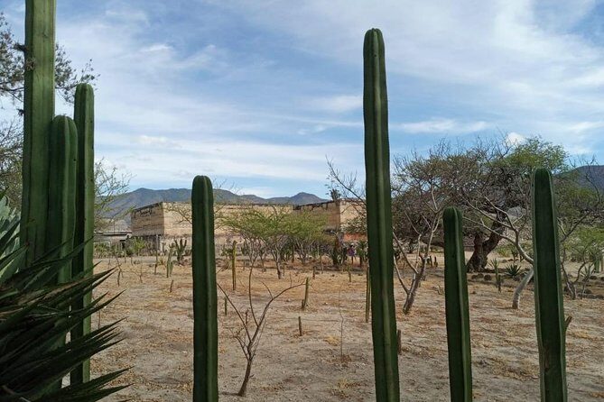 Combo two-day tours, Hierve el Agua Full day and Monte Alban full day - Frequently Asked Questions
