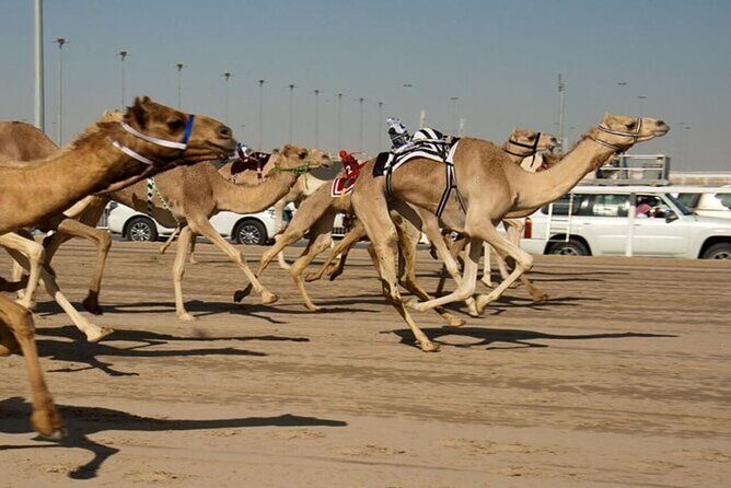 Combo West and North of Qatar Tour - The Sum Up