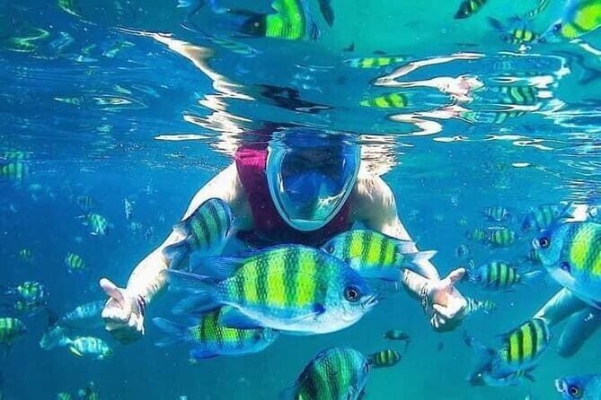 Combo:Langkawi Snorkeling & Tg Rhu mangrove private boat tour - Key Points
