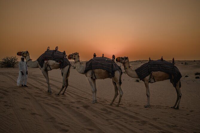 Combo:Private Desert Safari + dinner & ATV Self-drive/Quad Bike - Practical Tips for Participants