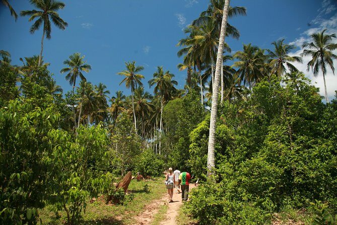 Come and taste the Zanzibar feelings - Breaking Down the Tour Experience