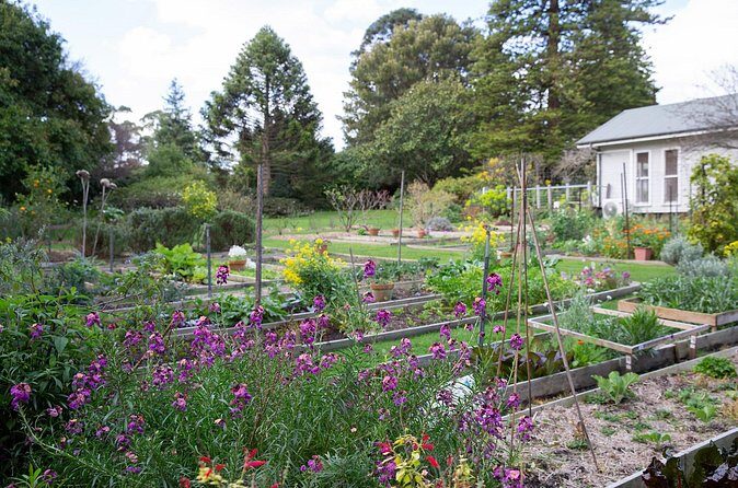 Como House: Guided Garden Tour - The Sum Up