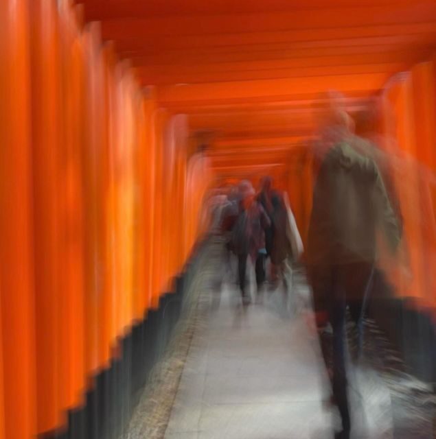 Compact Kyoto day tour experience - Introducing the Kyoto One-Day Tour