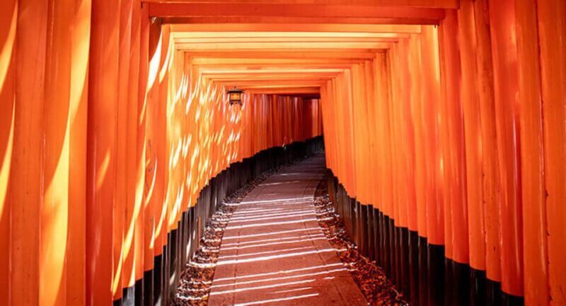 Compact Kyoto day tour experience - The Value of a Guided Tour