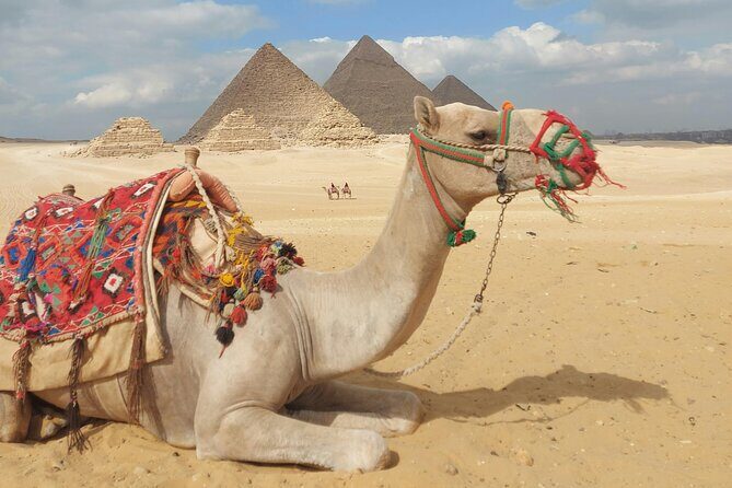 Complete Adventure in Giza: Pyramids, Camel & Quad ATV, dinner.. - Complete Adventure in Giza: Pyramids, Camel & Quad ATV, dinner — An In-Depth Review