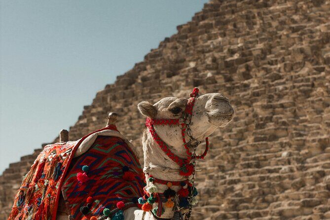 Complete Adventure in Giza: Pyramids, Camel & Quad ATV, dinner.. - What the Reviews Say