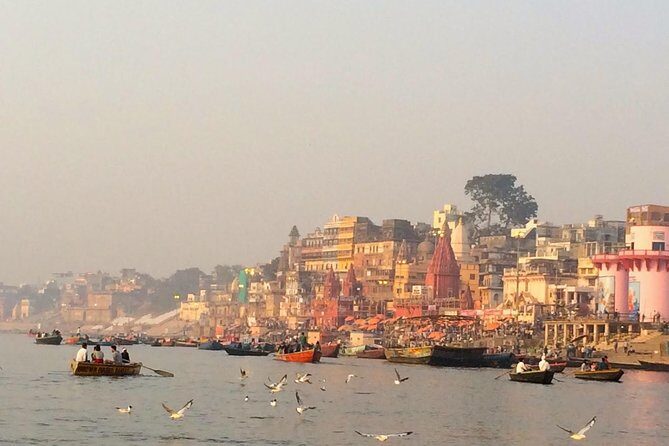 Complete tour of varanasi with official guide - Complete Tour of Varanasi with an Official Guide