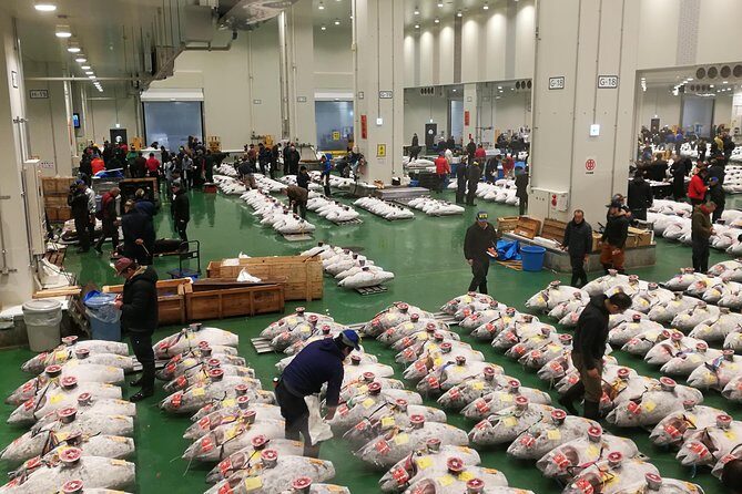 Complete Tuna Auction & Toyosu Fish Market Tour - A Complete Look at the Tour Experience