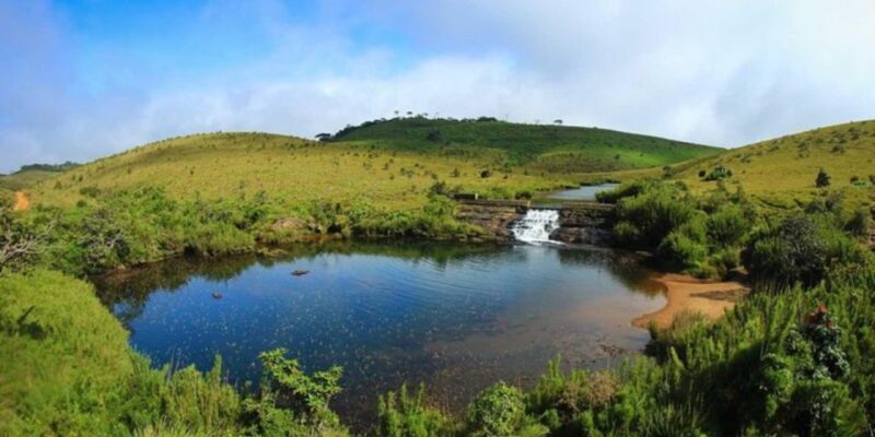 Comprehensive Excursion: Horton Plains and Pedro Tea Factory - FAQ