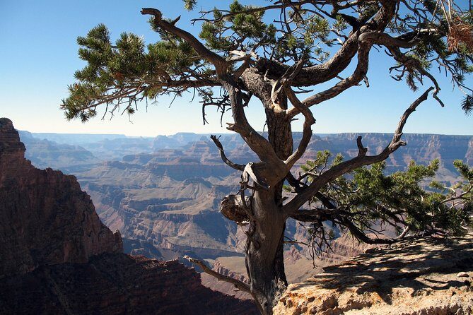 Comprehensive Grand Canyon Tour from Flagstaff - Key Points