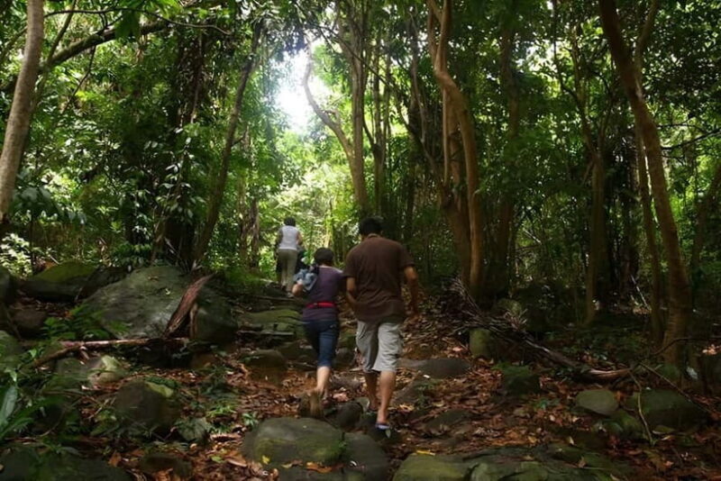Con Dao: Journey Through So Ray A Natural Wonder - Key Points