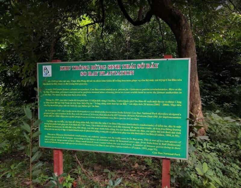 Con Dao: Journey Through So Ray A Natural Wonder - The Hiking Experience