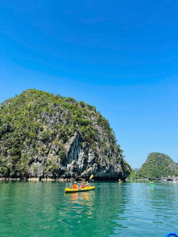 Con Dao Night Turtle Watching And Coral Snorkeling Eco Tour - Night Safari & Turtle Watching