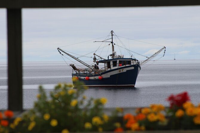 Conception Bay Tour Experience - Introduction: What to Expect from the Conception Bay Tour