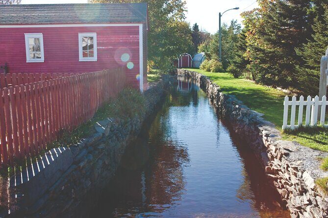 Conception Bay Tour Experience - The Itinerary Breakdown: What’s Included and What You’ll Experience