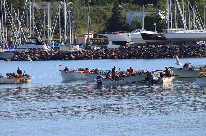 Conception Bay Tour Experience - Who Should Book This Tour?