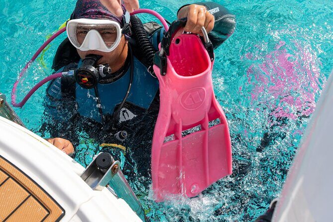 Concierge Two Tank Boat Dive in Bonaire (4 Divers) - The Value of This Experience