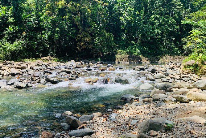 Concrete Jungle to the Actual Jungle, The Complete Package Tour - The Practical Side: Transportation, Timing, and Value