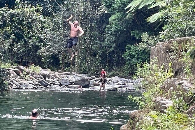 Concrete Jungle to the Actual Jungle, The Complete Package Tour - The Reviews Speak Volumes