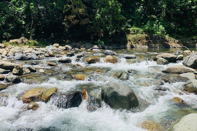 Concrete Jungle to the Actual Jungle, The Complete Package Tour - FAQ