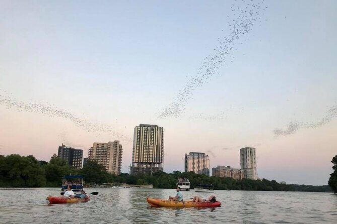 Congress Avenue Bat Bridge Kayak Tour in Austin - The Sum Up