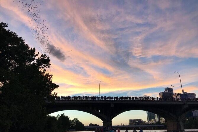 Congress Avenue Bat Bridge Kayak Tour in Austin - FAQ