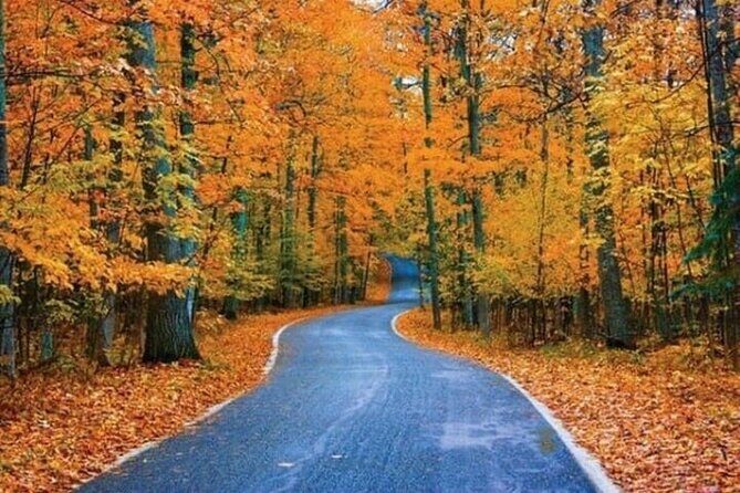 Connecticut Maple Foliage 1 Day Tour From New York - Key Points