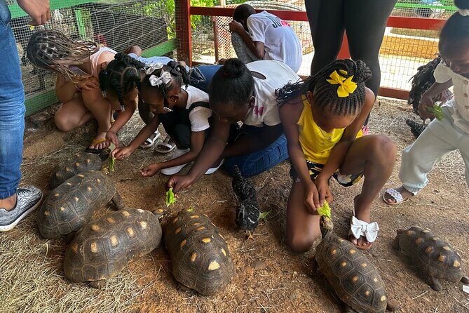Connors Farms Petting Zoo - The Authenticity and Value of the Tour