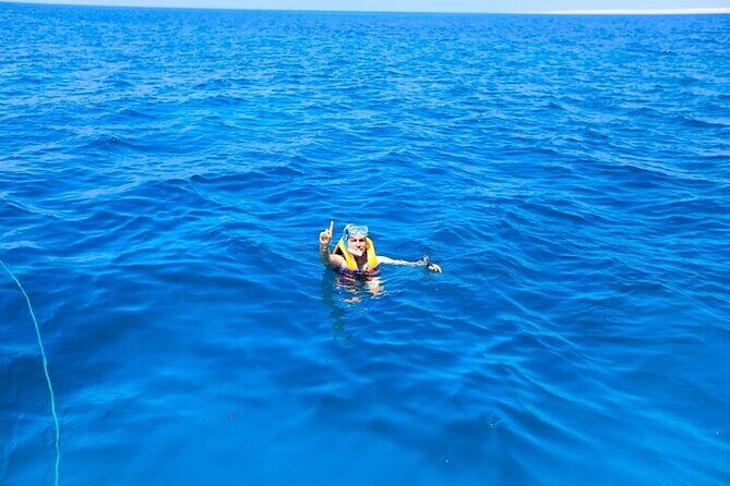 Conquest Semi Submarine and Snorkeling Sea Trip - Hurghada - Who Should Consider This Tour?