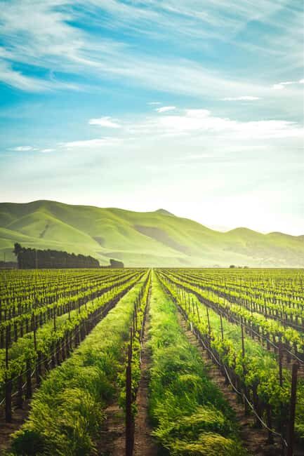 Constantia: A Vintner's Legacy Experience - Key Points
