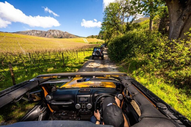 Constantia: Wine Tour - Award Winning Jeep Tours Cape Town - An In-Depth Look at the Constantia Wine Tour