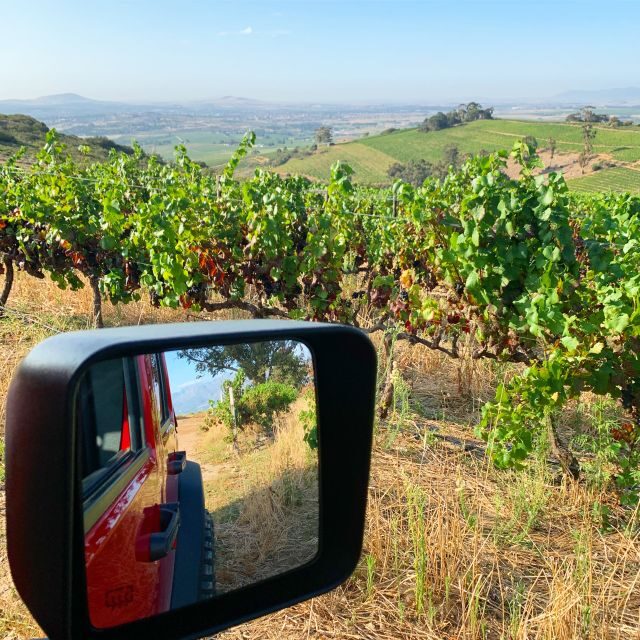 Constantia: Wine Tour - Award Winning Jeep Tours Cape Town - Practical Details: What to Expect