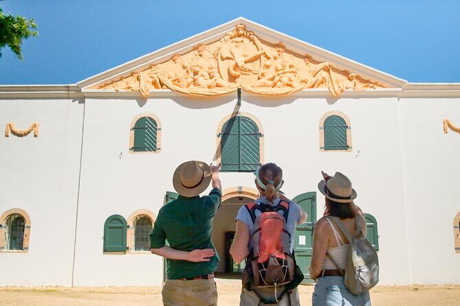 Constantia Wine Walk Storytelling Vineyard Tour with Lunch - An In-Depth Look at the Constantia Wine Walk