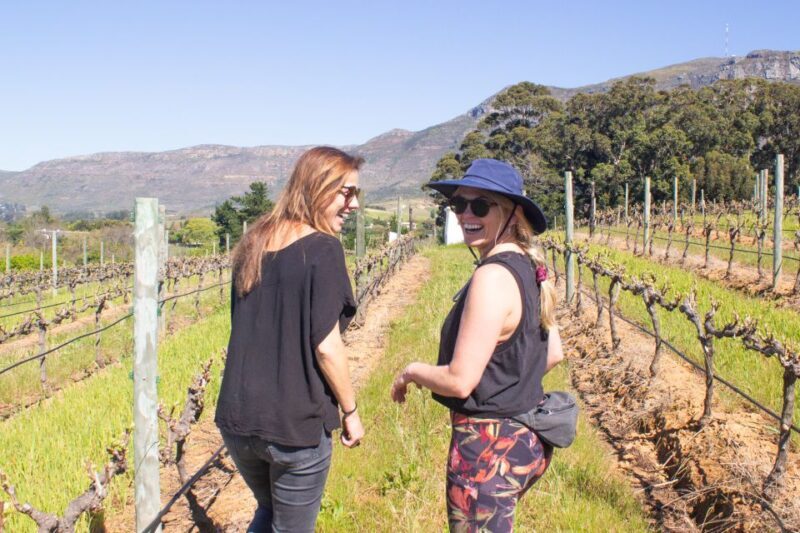Constantia: Wine Walk with Lunch and Enchanting Stories - What’s Included and Whats Not