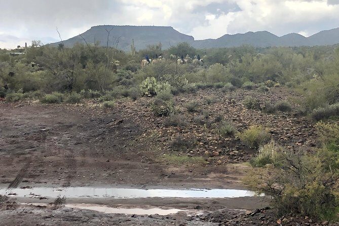 Contact us to book your time. Best Trail Rides in Arizona. - Who Will Enjoy This?