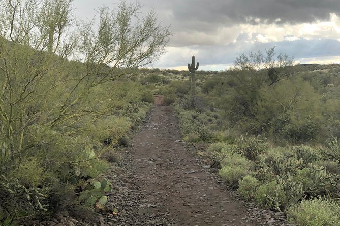 Contact us to book your time. Best Trail Rides in Arizona. - FAQ