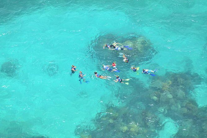 Contoy Caribbean Adventure! Round Transportation from Cancun - The Itinerary: What You Can Expect