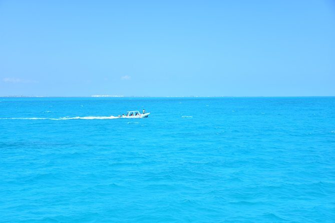 Contoy Caribbean Adventure! Round Transportation from Cancun - Authentic Insights from Travelers