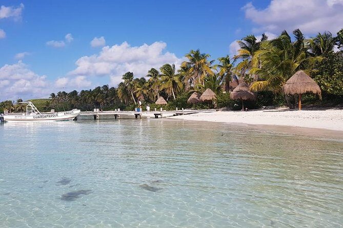 Contoy Island - An In-Depth Look at the Tour