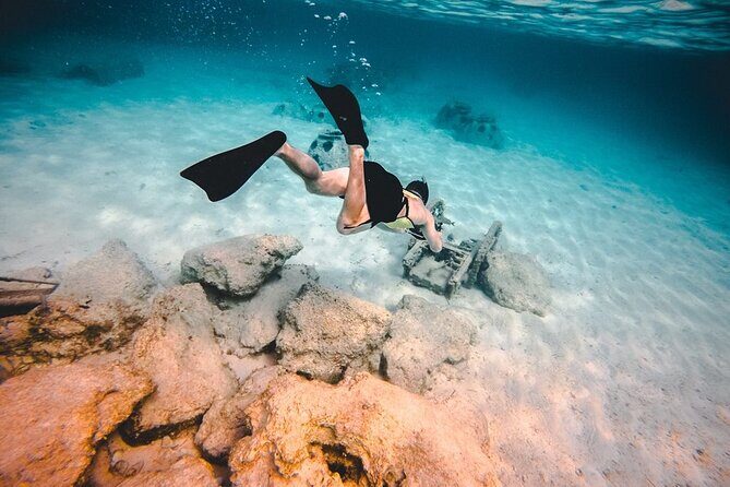 Contoy Island & Isla Mujeres Adventure from Cancun - The Sum Up