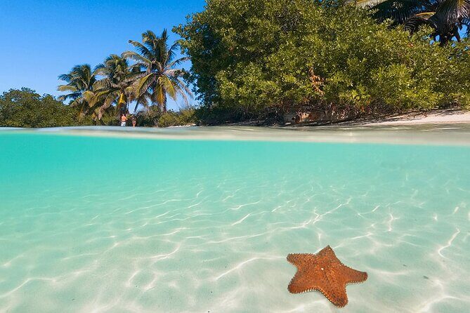 Contoy Island Tour from Cancun and Isla Mujeres with Snorkeling - The Practicalities