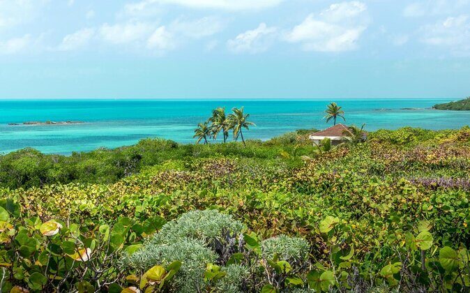 Contoy Island Tour from Playa del Carmen & Cancun - Exploring the Contoy Island Tour from Cancun & Playa del Carmen: An Honest Review