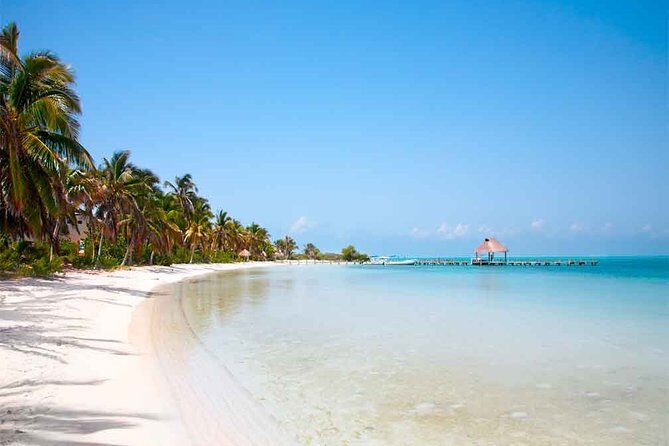 Contoy Island Tour from Playa del Carmen & Cancun - Authentic Experiences and Honest Feedback