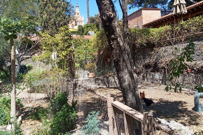 Cook & Dine | Make Authentic Mexican Mole and Salsas in San Miguel de Allende - Frequently Asked Questions