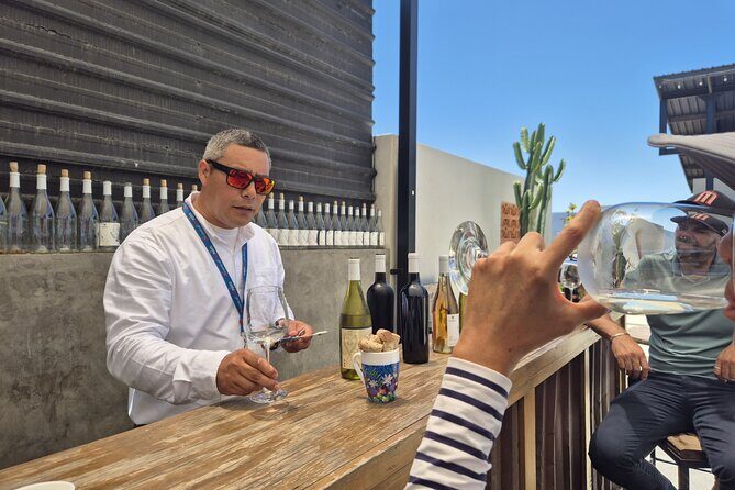 Cooking Class and Margarita Madness at Valle de Guadalupe - Who Will Love This Tour?