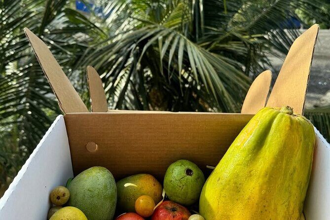 Cooking Class and Market Visit in Negombo - Practical Details and Value