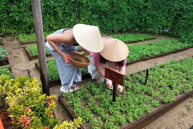 Cooking Class Hoi An - Organic Garden - Farming Tour - Frequently Asked Questions