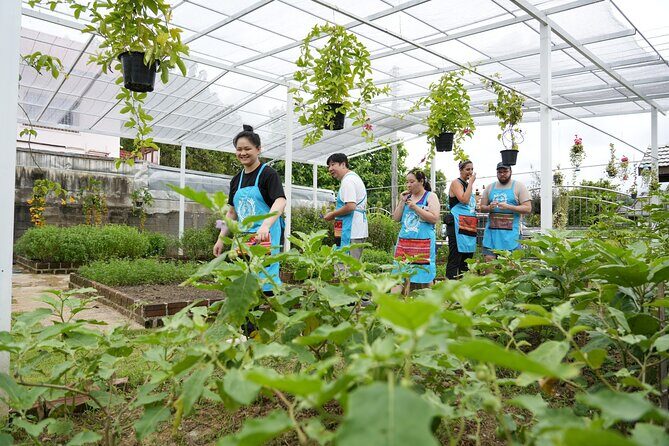 Cooking Class with Organic Farm in Chiang Mai at Mama Noi - An Authentic Thai Cooking Adventure in Chiang Mai