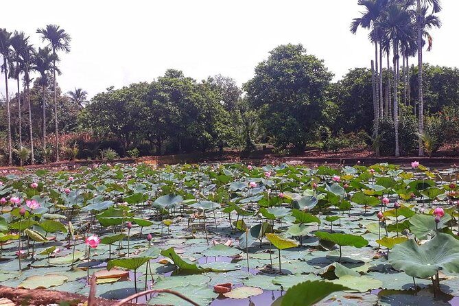 Cooking, Farming and Waterfall In Vietnam Countryside - A Deep Dive into the Experience